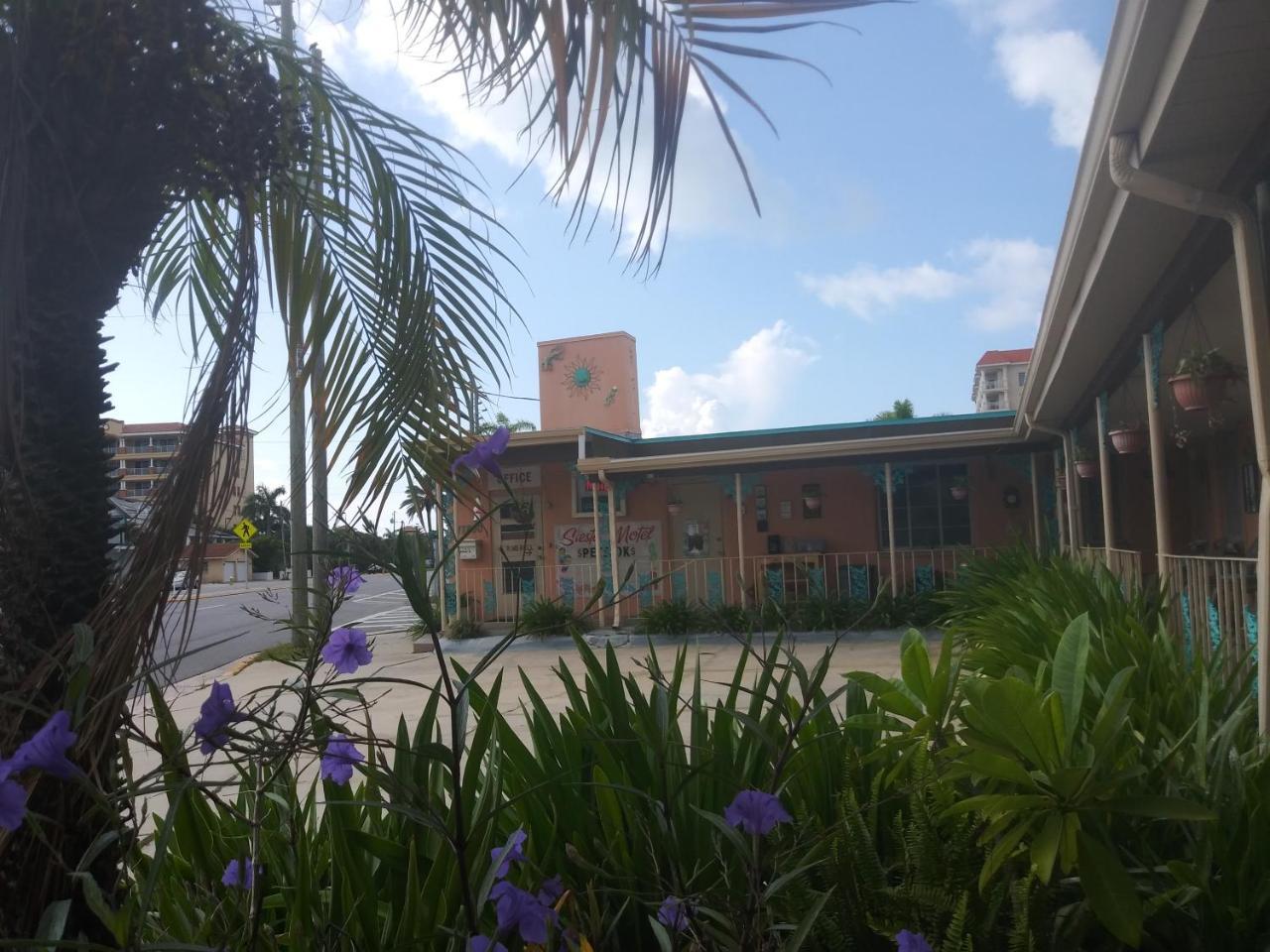 Michaels Siesta Motel 세인트피터즈버그 외부 사진